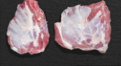 Cuscino