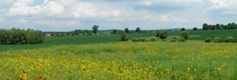 Müritz